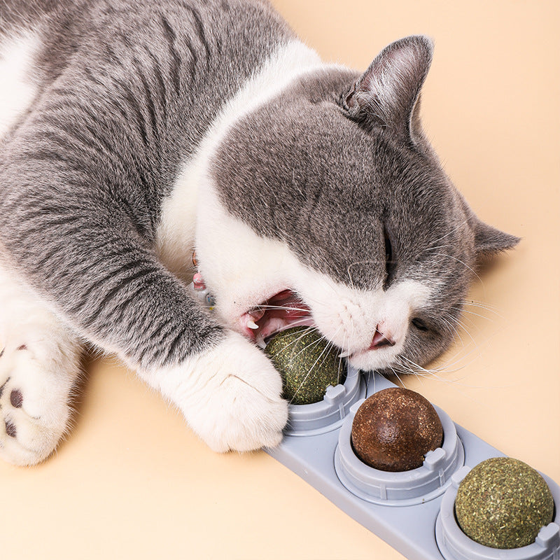 Catnip Ball - Dental Cleaning & Care for Cats | Natural Mint