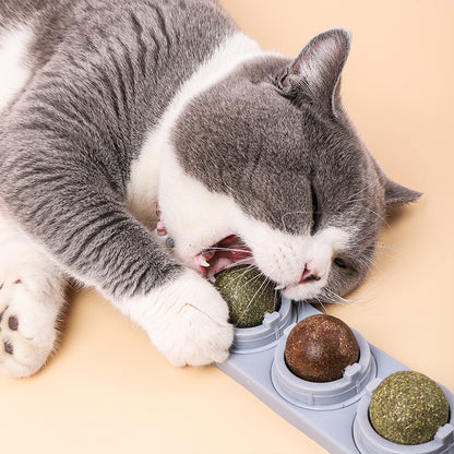 Catnip Ball - Dental Cleaning & Care for Cats | Natural Mint